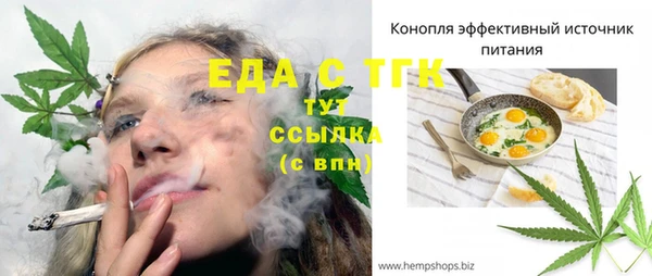 шишки Инсар
