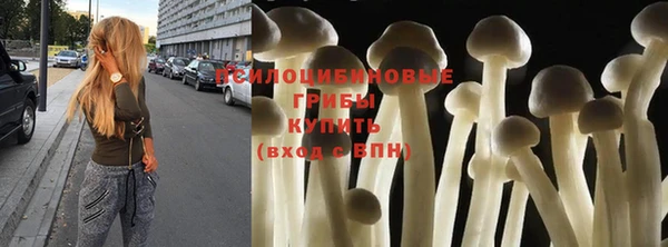 шишки Инсар