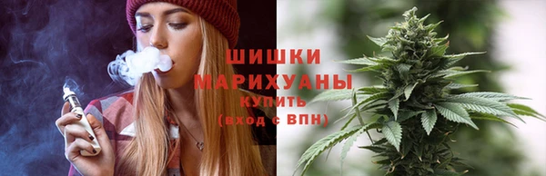 дмт Инта