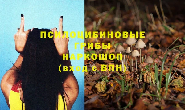 шишки Инсар