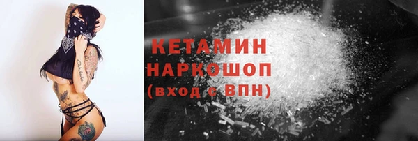 шишки Инсар