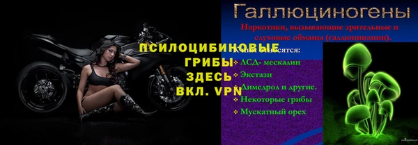шишки Инсар