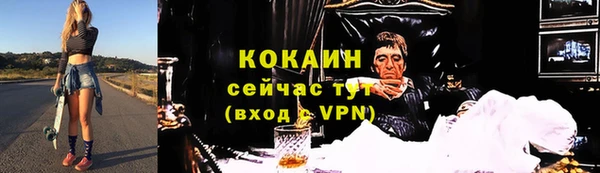 дмт Инта
