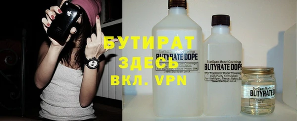 шишки Инсар