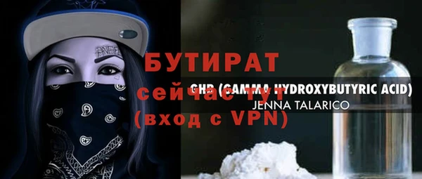 шишки Инсар