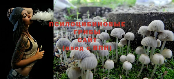 шишки Инсар