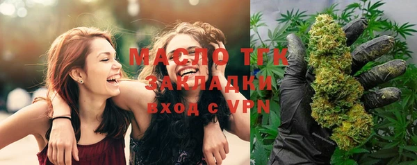 дмт Инта