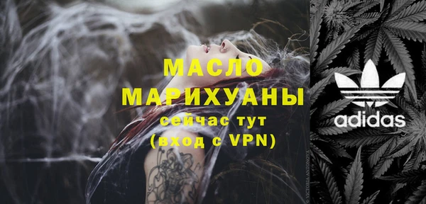 дмт Инта
