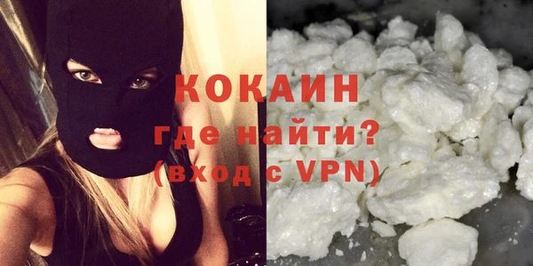 дмт Инта