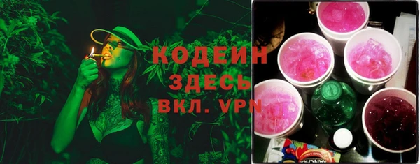 дмт Инта