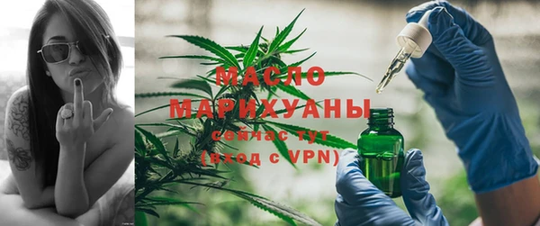 шишки Инсар